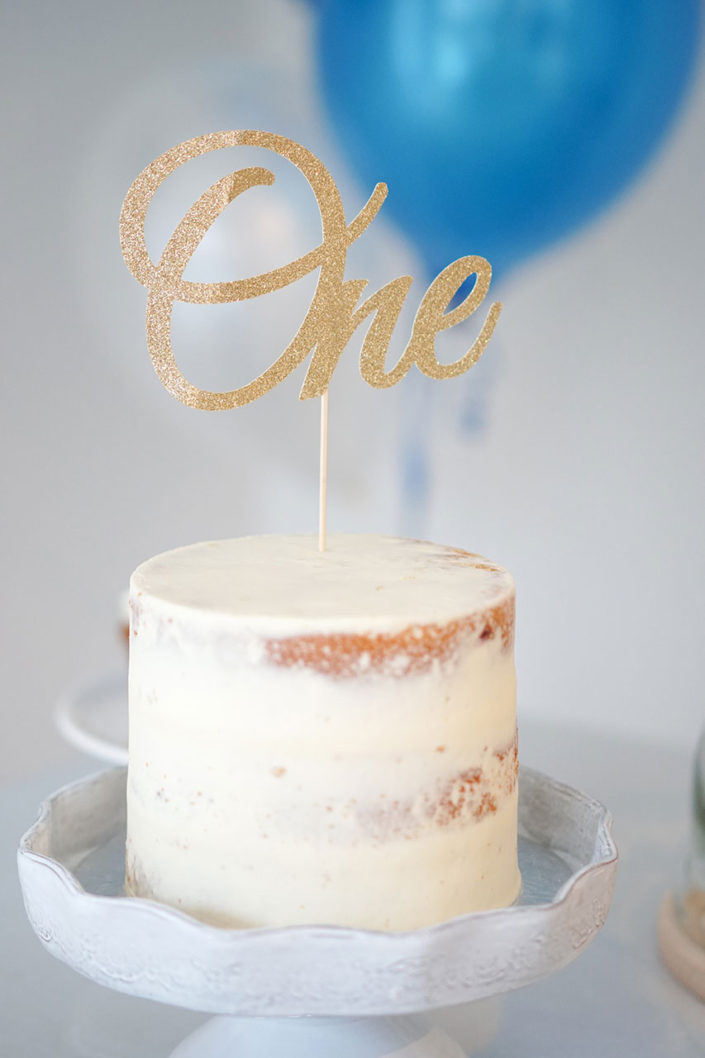 First Birthday Cake | Leeboo Photo | Branding